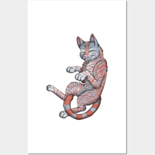 Red on Blue Tabby Shorthair Posters and Art